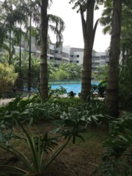 Meadows @ Peirce (D26), Condominium #198976542